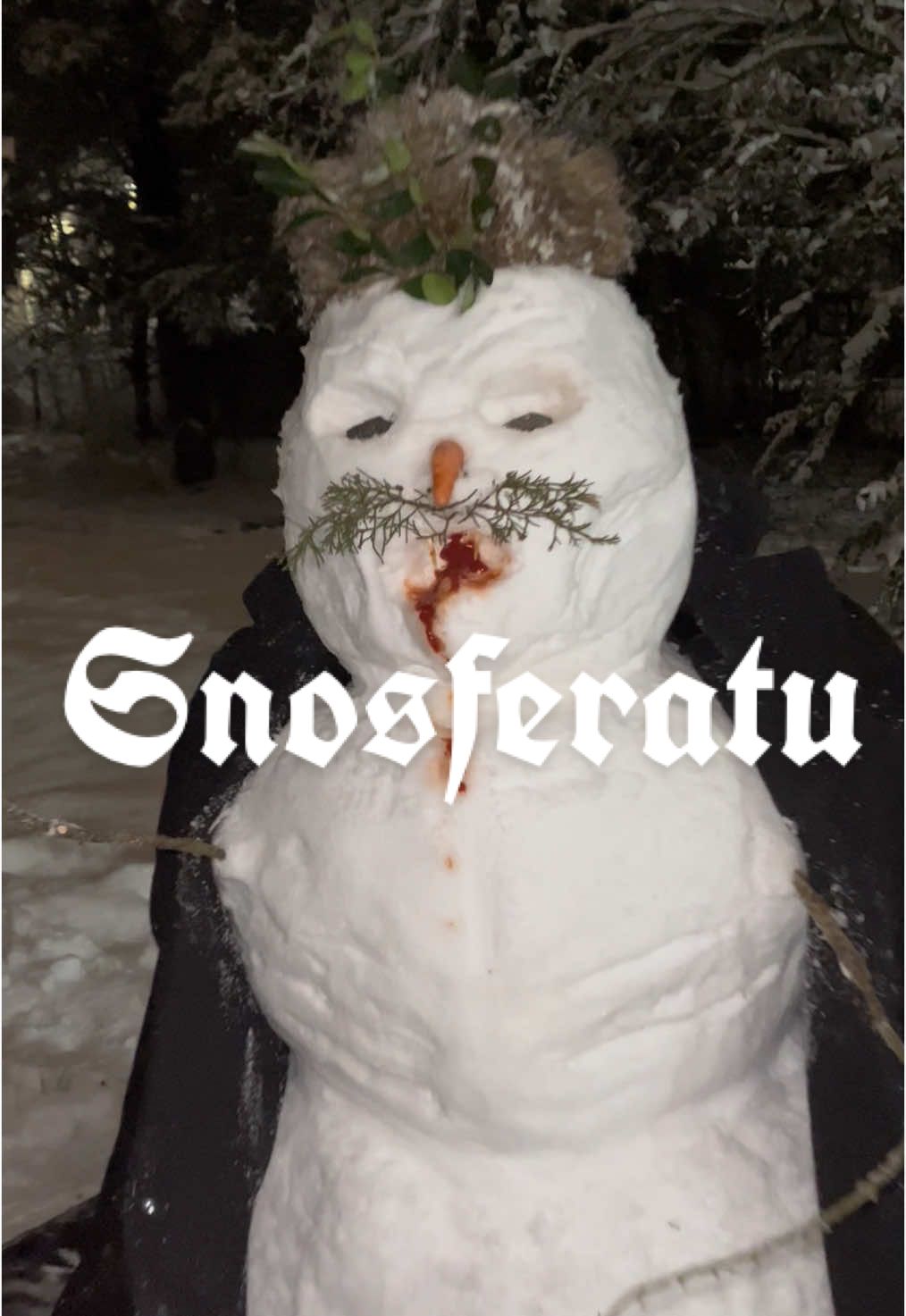 Snowsferatu #nosferatu #snowsferatu #nosferatu2024 #nosfreakatu @teethmouthy #countorlok #fyp #nashville @Joel Kaiser 