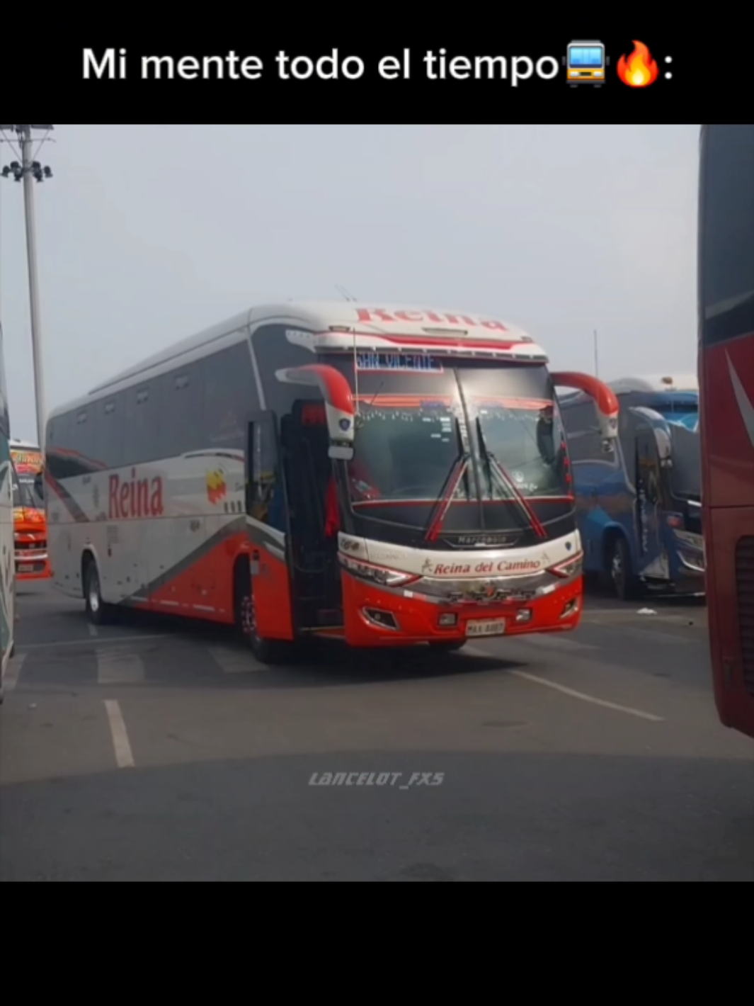 🚍🔥🇪🇨 #ecuador🇪🇨 #turismooriental #coactur #caluma🍊🚍 #transesmeraldas😎❤🚍🇪🇨 #reinadelcamino #rutasempalmeñas #a_lo_bien_jose_delgado #rutasecuatorianas🇪🇨🇪🇨🇪🇨🇪🇨 #777 