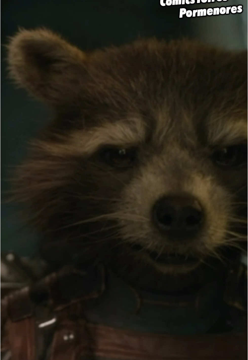 ¿Por qué Rocket decía que no era un mapache? 🦝  #ComicsYotrosPormenores #Curiosidades #Rocket #RocketRaccoon #GuardiansOfTheGalaxy #GuardianesDeLaGalaxia #Marvel #MarvelComics #UCM #Pelicula #Peliculas  