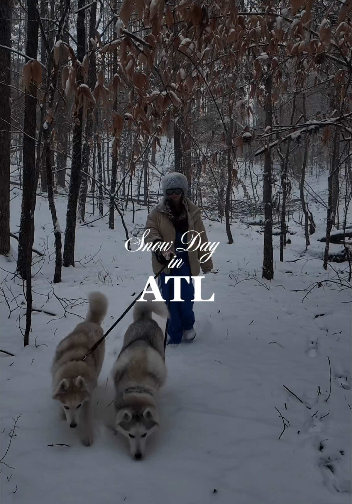 Today, Atlanta transformed into a winter wonderland, receiving approximately 3.5 inches of snow—the first significant snowfall since January 18, 2018. My Huskies were in their element, bounding through the snow-covered trails. We couldn’t wait to get outside—it was so special to see them so happy.  #snowday #atlantasnow #huskies #winterwonderland #firstsnowsince2018 #huskylife #dogsofinstagram #snowfun #exploregeorgia #atlweather #snowadventures #siberianhuskies