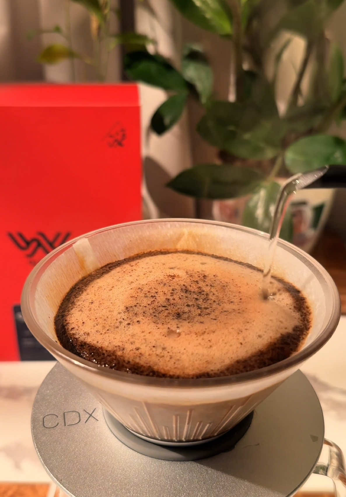 ان طلبت الغلا #عبدالمجيدعبدالله #عبدالمجيد_عبدالله #مجيد #your_coffee #بدون_موسيقى #v60 