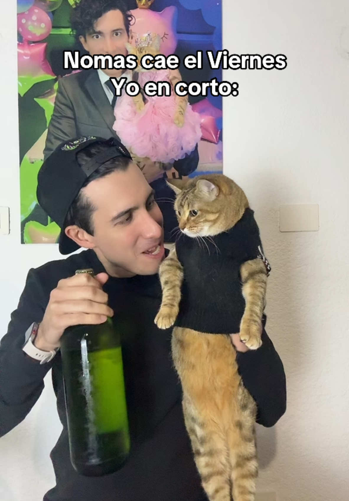 Hay que celebrar que mañana no trabajamos #gatos #catsoftiktok #catlover #cats #viernes 