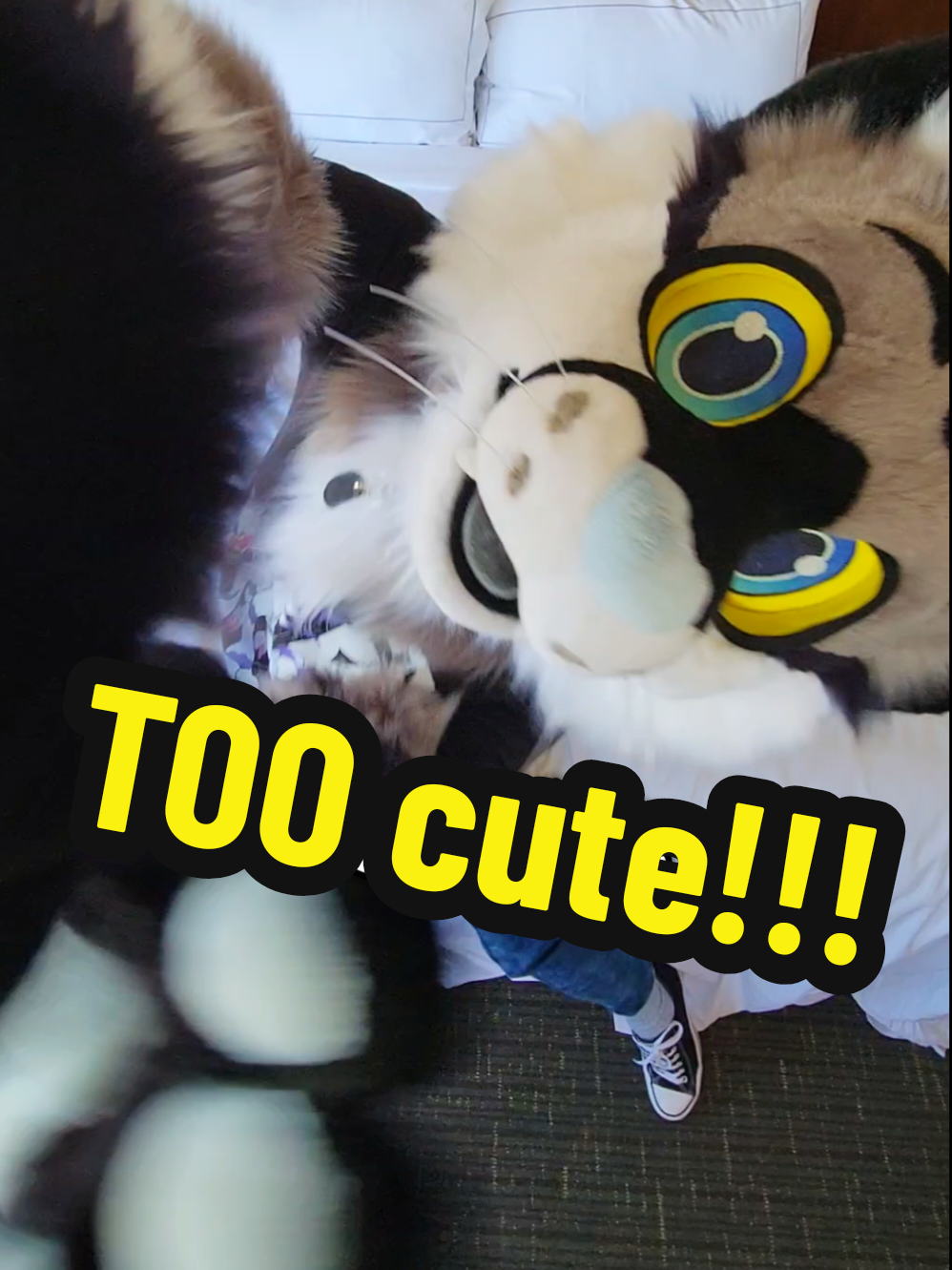 I'm too adorable for my own good unfortunately! 🐱💕  ☆~☆~☆~☆ #furry #fursuit #furries #fursona #fursuit #furrycon #fursuiter #cutefursuit #furryfandom #furriesoftiktok 