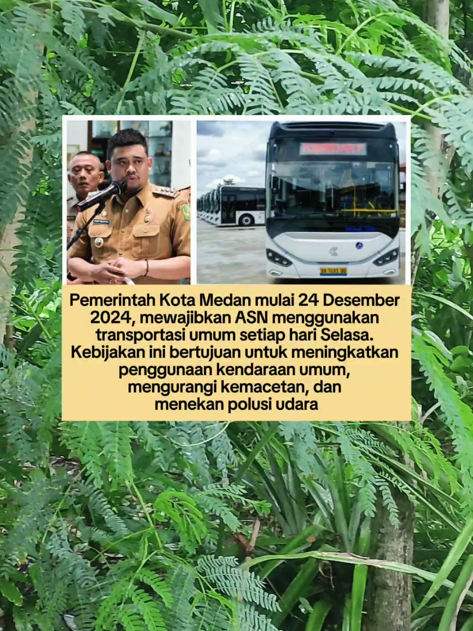 pemkot medan wajibkan ASN naik transportasi umum tiap selasa mulai 24 desember 2024 #medan #transportasi #fypシ 