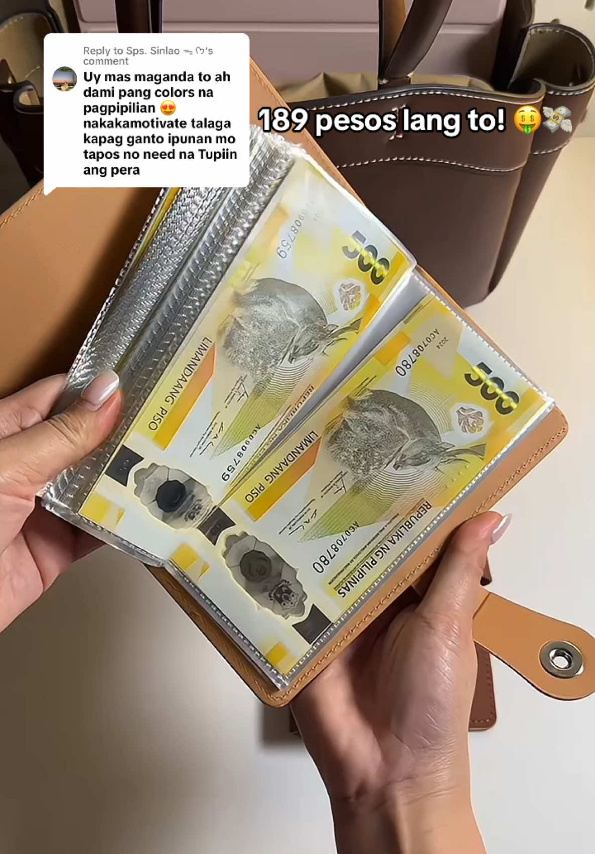 Replying to @Sps. Sinlao ᯓ ᡣ𐭩 ang ganda netong nahanap kong ipon challenge binder no need na tupiin ang pera 💸 #iponchallenge #100envelopechallenge #100envelopesavingschallenge #fyp 