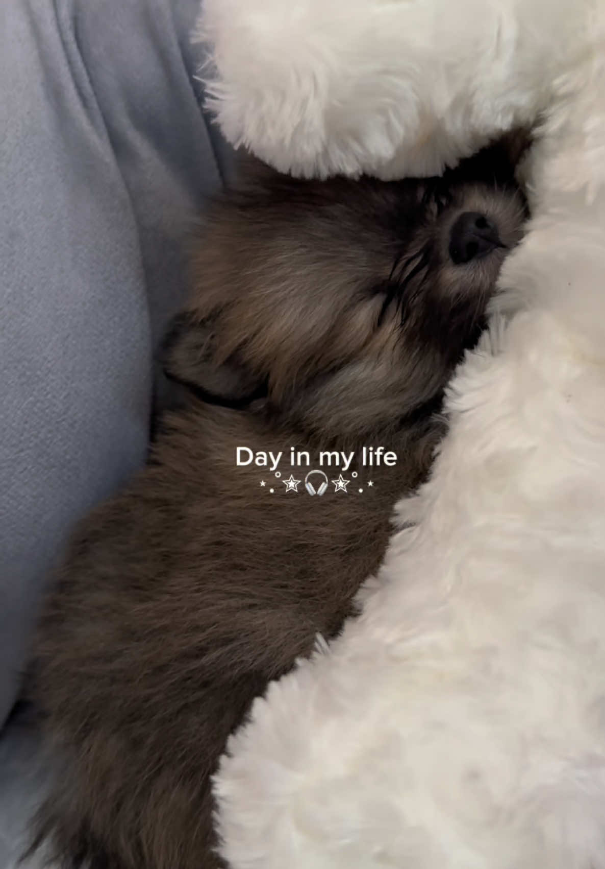 🤍🎀🌷#Vlog #minivlog #fyp #routine #day #dayinmylife #SelfCare #cozy #gurwm #aesthetic #rutina #girls  #vlogtiktok 