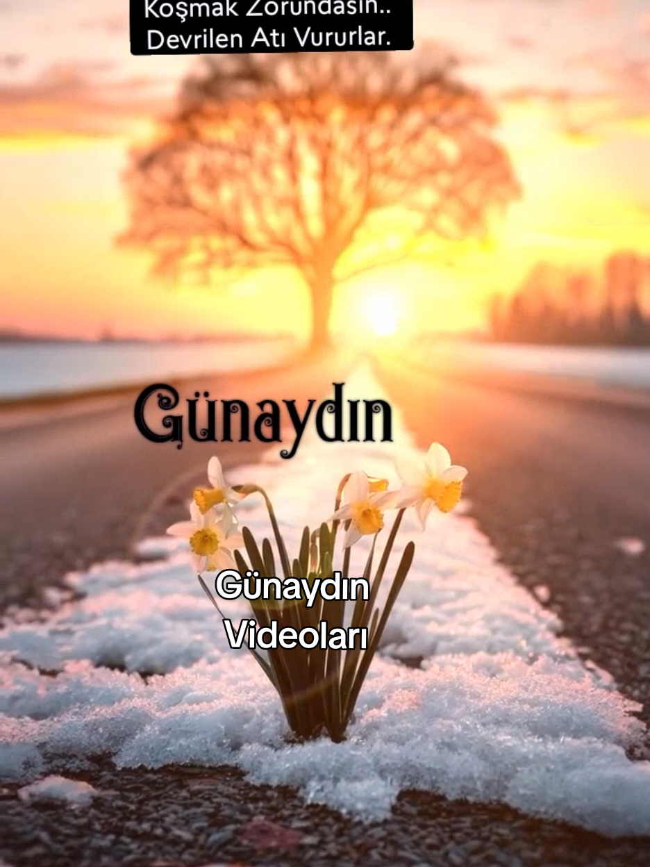 günaydın...