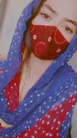 song 🫀