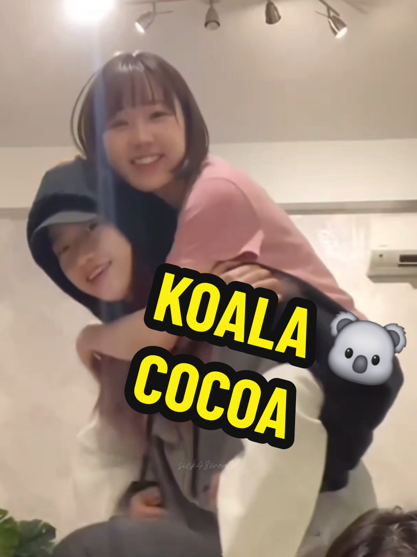 Kelapa Cocoa ❌️ Koala Cocoa ✅️ #KLP48 #CocoaKLP48 #YishyanKLP48 #甲斐心愛 @cocoa (KLP48) @Yishyan.klp48 ˚₊‧ 𐙚 ‧₊˚ • 