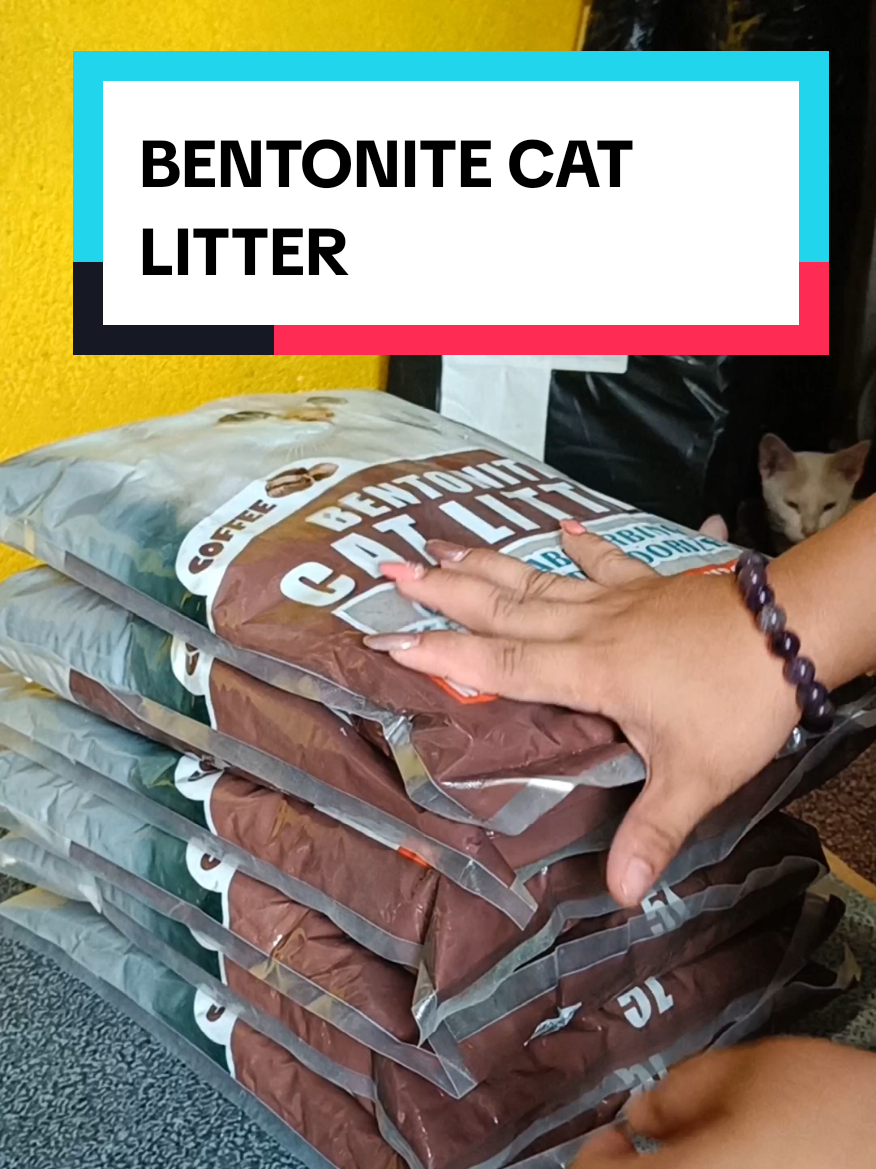 Bentonite Cat Litter padin ngayong 2025 🥰🫶 #littersand #bentonitecatlitter #catlitter 