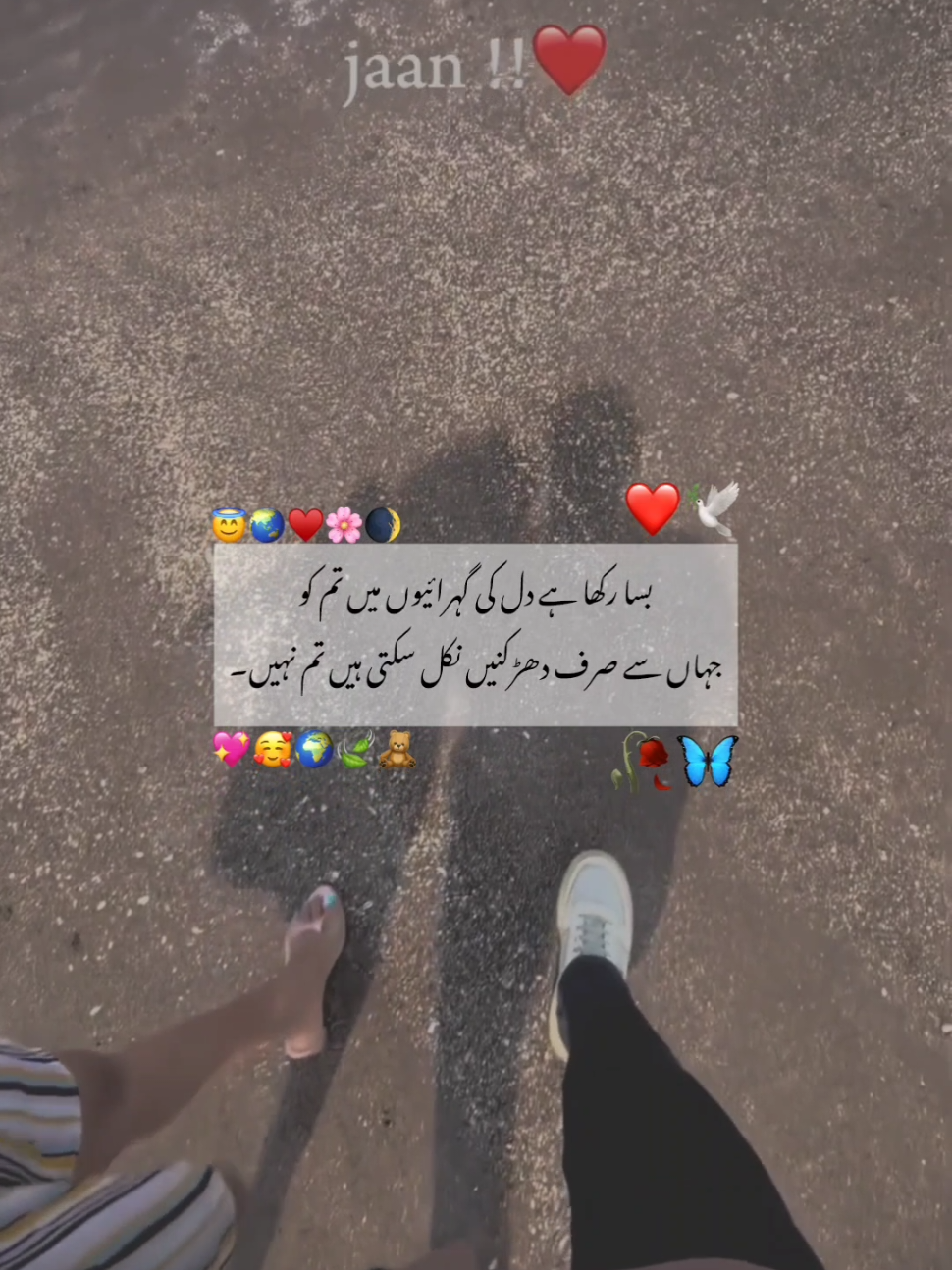 میرے رب نے مجھے جو دیا کمال دیا اس کی ہر نعمت پر الحمد للہ 😇🌏♥️ #foryoupage #fyp #fypviral  #unfreezemyaccount #poetry #status  #1millionaddition #deep_lines🥀 #fyp #ジviral #tiktokmademebuylt #1million #fyppppppppppppppppppppppp 