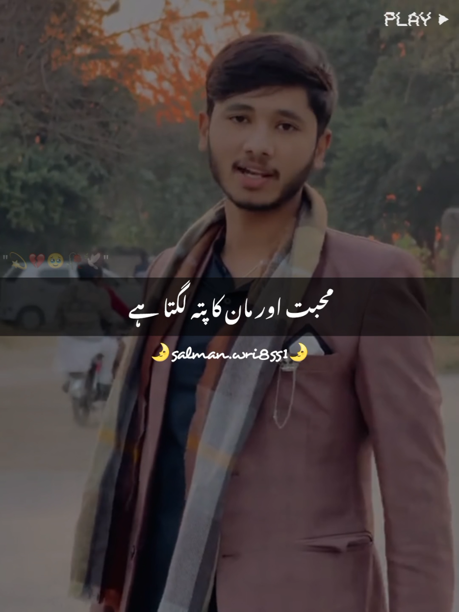 Understand Boys 🫀~#syedalizainbukhari #syedalizainbukharistatus #poetry #urdupoetry #onlyforyoupagе #salmanwri8ss1 #viralvideos #growaccount #fyp #tiktokteam #foryoupage #viral @Syed Ali Zain Bukhari ❤️✨ 