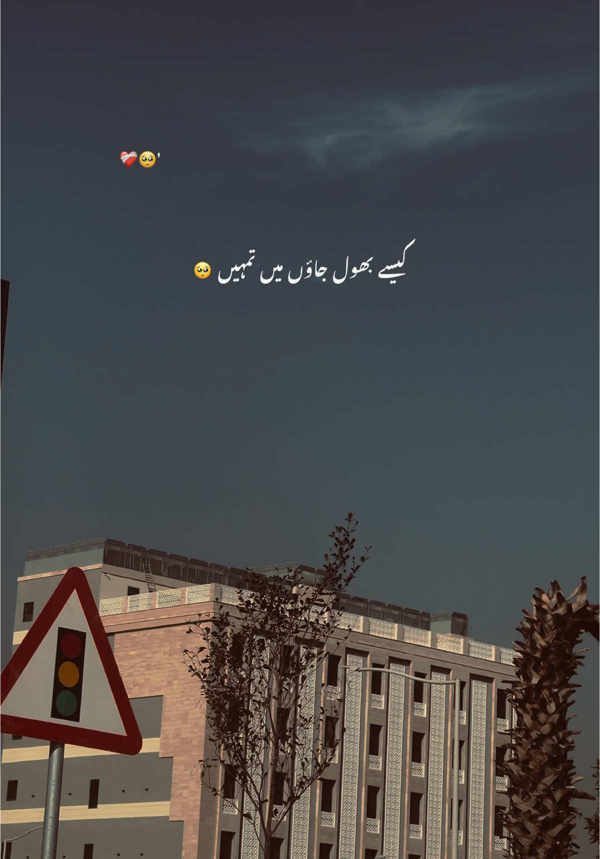 کیسے بھول باؤں میں تمہیں  ؟ 💖 💔😭 #foryoupage #foryou #trending #poetrystatus #grow #account #aesthetic #feroz_vibes1