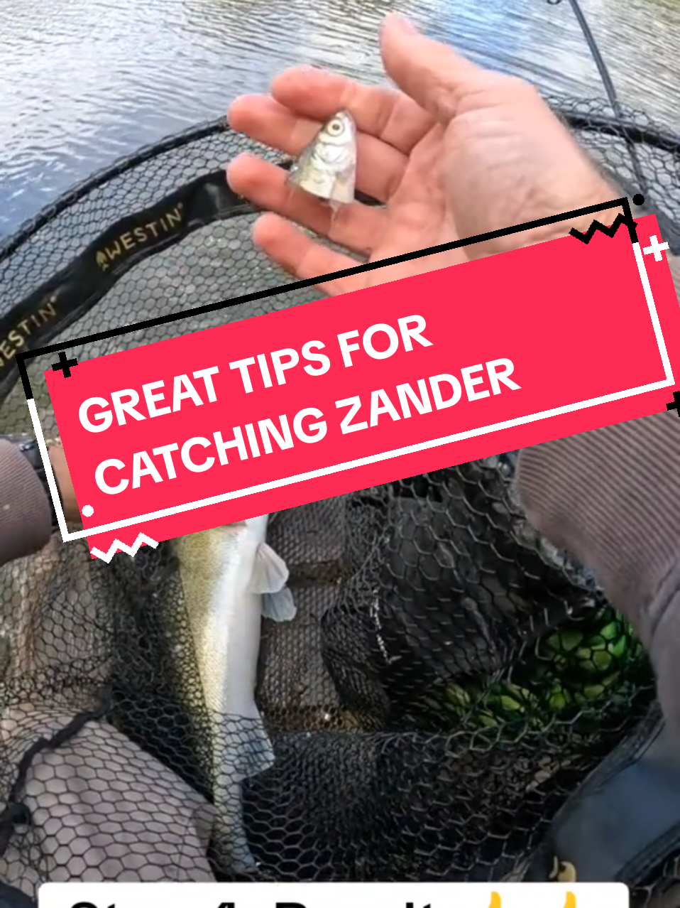 Best tip to catch lots of zander #zanderfishing #zanderfishinguk #zandernation #wyeperch #fishingtips #fishing #predatorfish #for #foru #fyp #fishinghacks #forupage #fyviral #viral_video #pikefishing #onthisday 