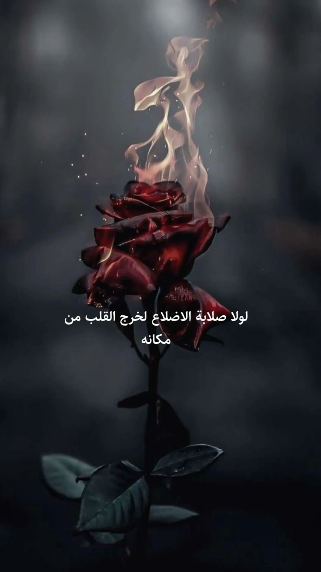 أين نهاية الالم اليس لكل شيء ناهيه #عبارات_حزينه #عباراتكم_الفخمه📿📌 #قتباسات_حزينة🖤🥀 #شعراء_وذواقين_الشعر_الشعبي #عبارات_جميلة_وقويه😉🖤 #خواطر #ستوريات #حزن_غياب_وجع_فراق_دموع_خذلان_صدمة #viral #unfrezzmyaccount #اكسبلورexplore #siirduvarda #عبارات_حزينه💔 #fyp #قتباسات