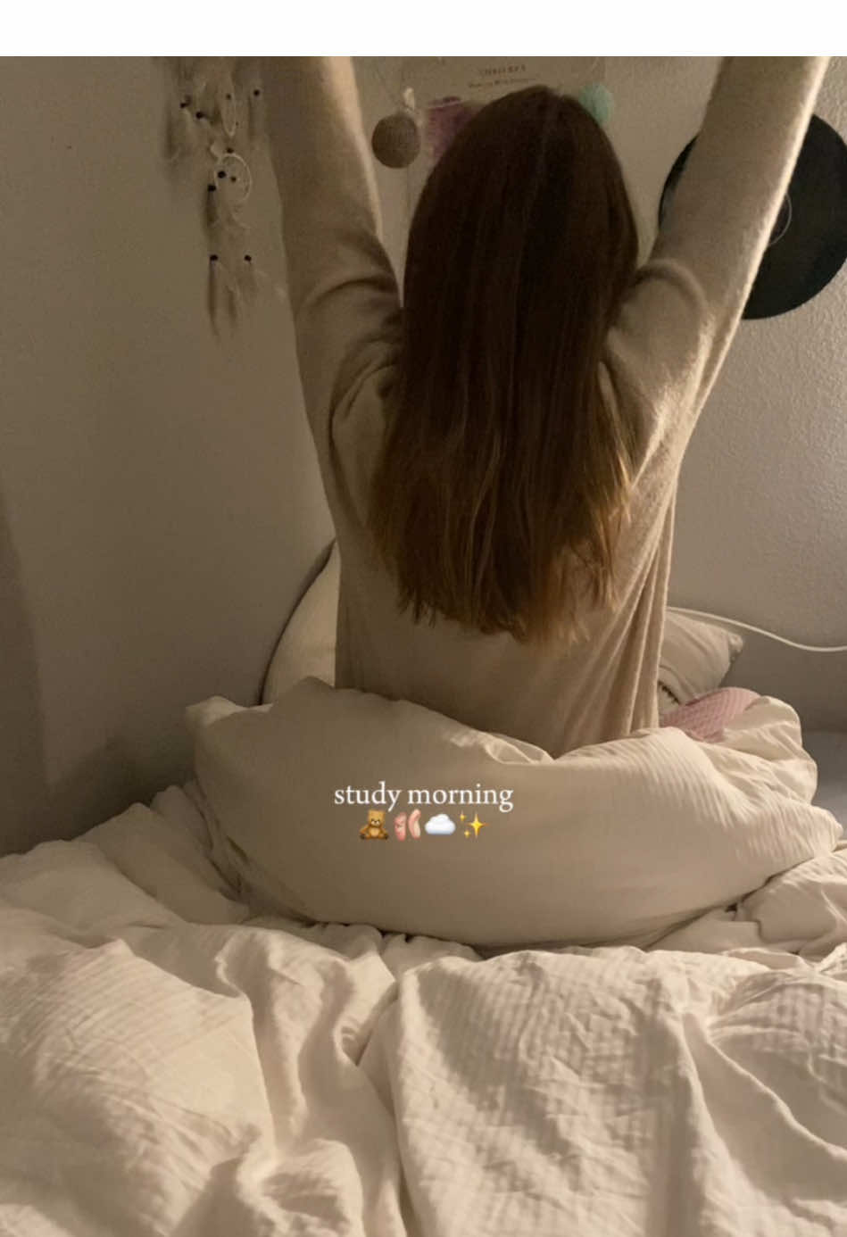 good morning💕 #aestehtic #digitaldiary #minivlog #aestheticvideos #morning #morningroutine #morningdiaries #mymorning #morninginmylife #studytok #studywithme #studysession #morningstudy #morningstudysession #studymorning #motivation  