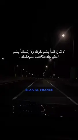 لا تدع كلباً يشم خوفك ولا إنساناً يشم إحتياجك فكلاهما سيعضك .