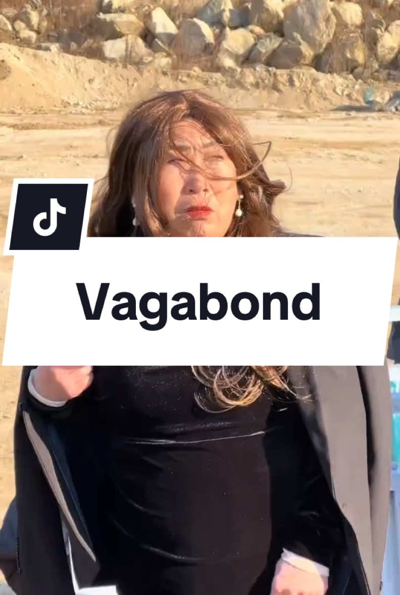 #vagabond #remake #xh #xyuan0402 #trendingtiktok 