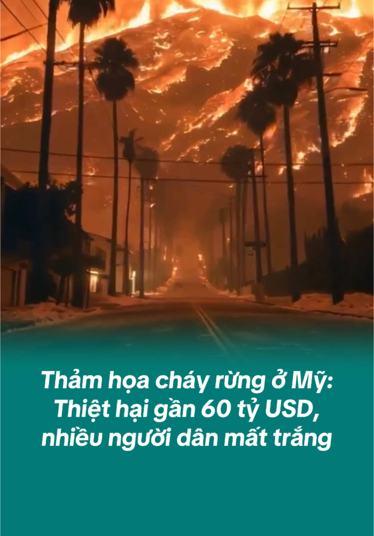 Vụ cháy rừng nghiêm trọng ở Los Angeles, Mỹ đã tàn phá 2.000 ngôi nhà và gây thiệt hại nặng nề. #vivumuasam #popsww #xuhuong #xuhuongtiktok #thegioi #chayrungomy #chayrungLosAngeles 