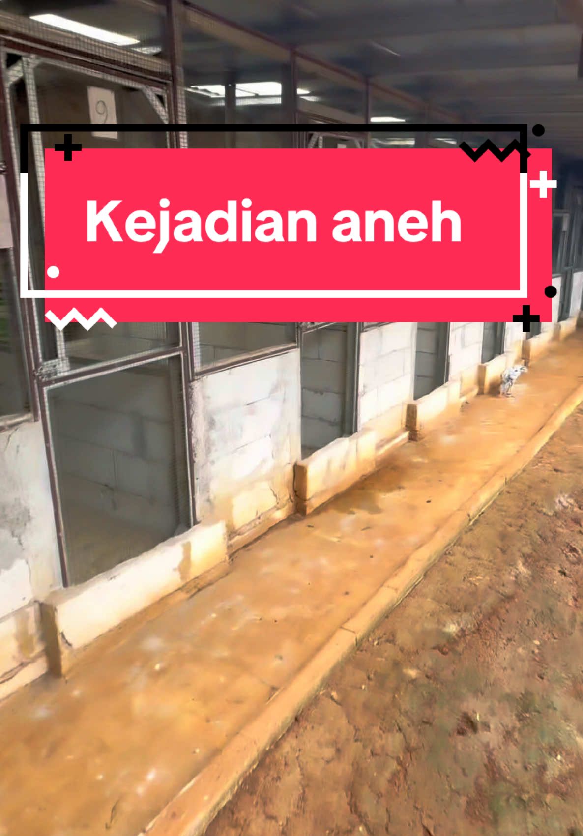 Kayak ada yang aneh #aneh #siapketua 