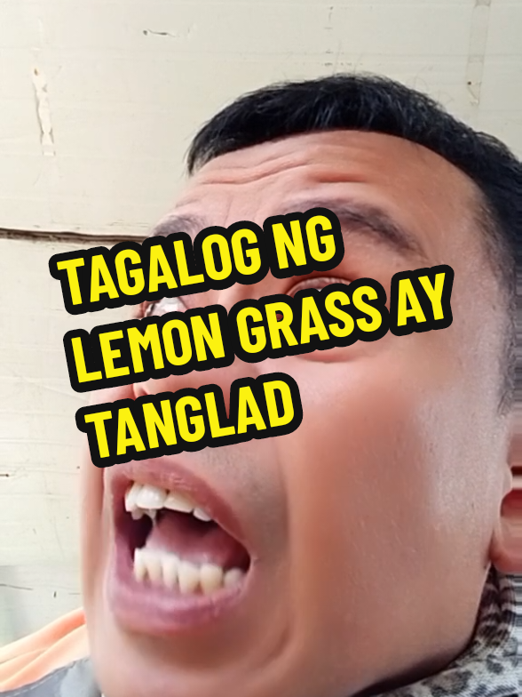 Tama ang sagot ni kuya eh 🤣 #funnyvideos #trendingvideo #viralvideo #nakakatawangvideo #tagalogtranslation 