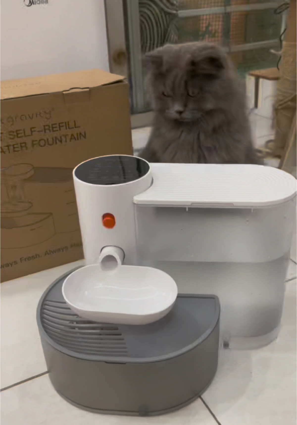 Kucing minum air bersih sentiasa dengan dengan bekas air automatic wireless #wirelesspetwaterdispenser #petdrinking 