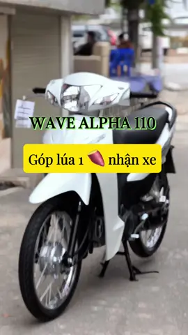 Wave trắng có làm em lo lắng  ?Với em thì chỉ cần như vậy . Alpha 110 mẫu mới dành cho anh chị em Hỗ trợ trả góp chỉ từ 1 🍠 với CCCD là lên đường #xedep #xemaytragop #xuhuong #xemayanphat ##wave #WAVEALPHA #xemaytragop #wavealpha2025 