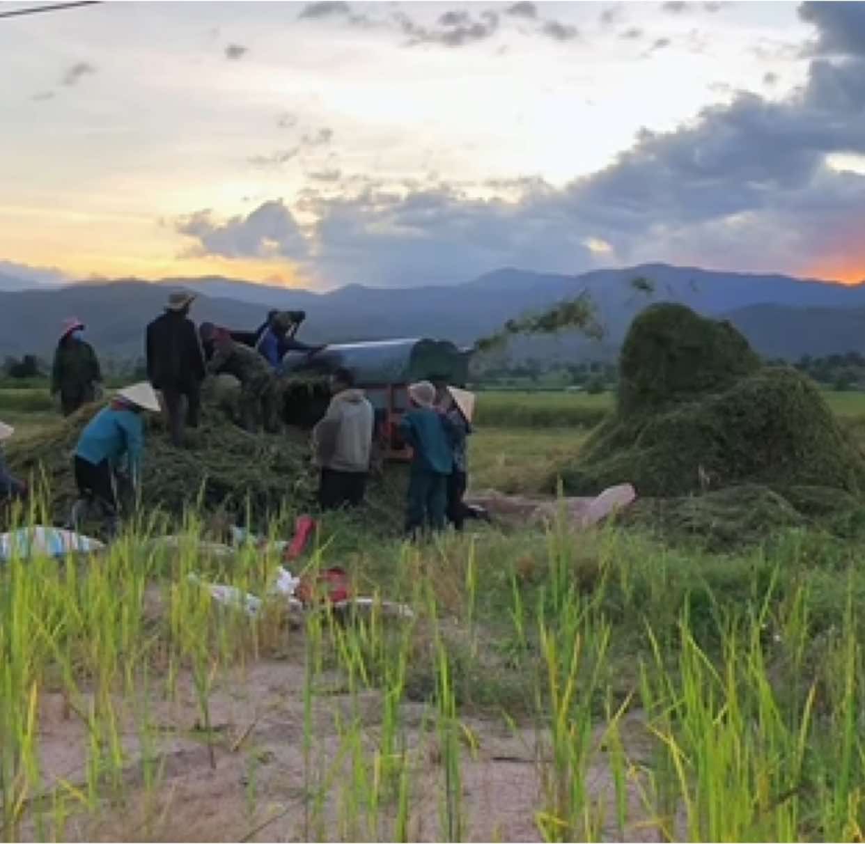 kết thúc một ngày bằng cảnh chill chill #fyp #chill #vietnam #krôngpa🍀❤️ #suhuong #hoanghon #fypシ #slowmo #song 