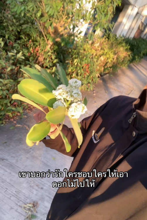 ใครจะเอา#มมส #มหาวิทยาลัยมหาสารคาม #รัฐประศาสนศาสตร์ #วิทยาลัยการเมืองการปกครอง #ปลัดแต่ง #MSU