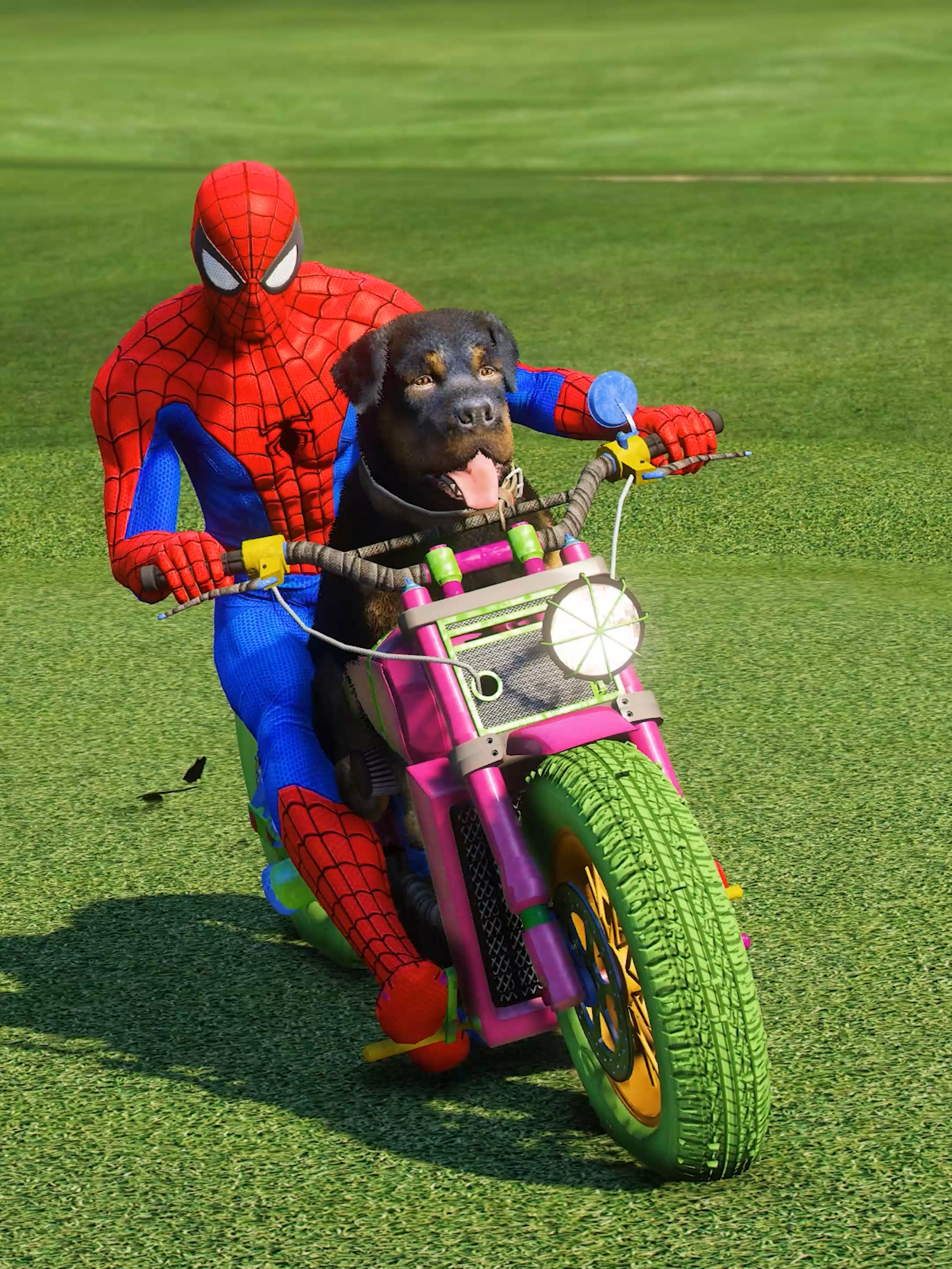 Dog helps superman #spiderman #funny