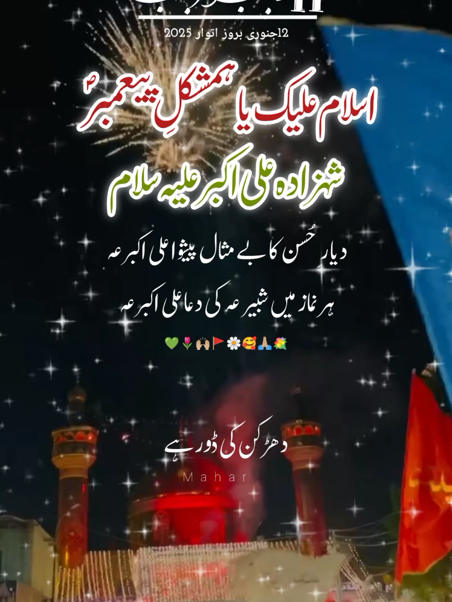 Aslam e Alika ya Shazada Ali Akbar as#mahar_writs #fizza_batool #plzsupport #13rajab_jashan_e_ali #molaaliع #trinding #plzviral🥺🥺🙏🙏foryoupage #followers➕ #newaccountplzsupport #viewsproblem #fouryourpage #viral_video #fouryou #plztiktokviral #dontunderreviewmyvideo #videoviral #viralkardoyar #plzviral #1milion # 