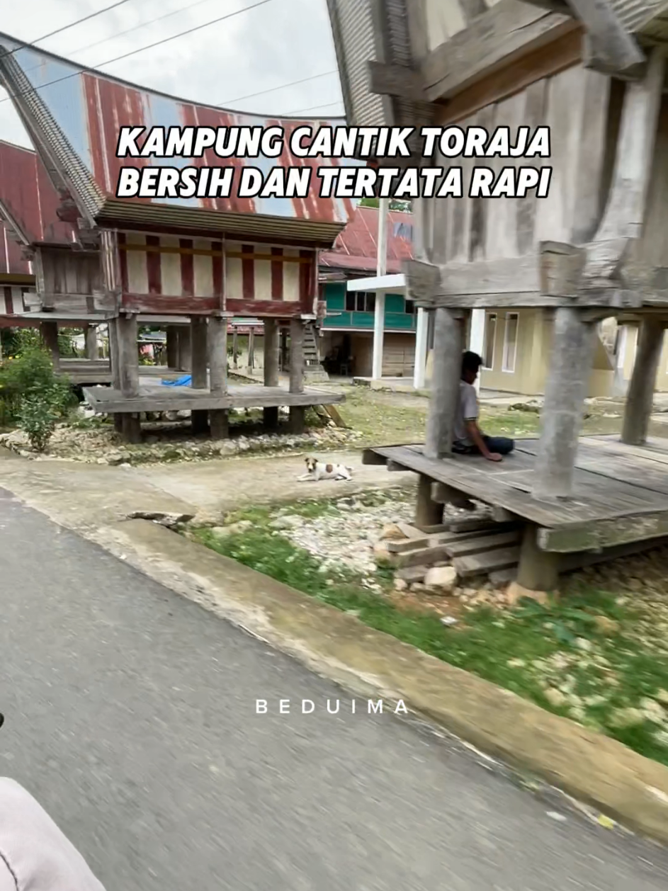 Pokoknya Auto Nyalain Kamera Kalau Lewat Sini, Kampung Cantik Toraja, Ada yang tau ini dimana? #beduima  #ayoketoraja  #diindonesiaaja  #wisatatoraja 