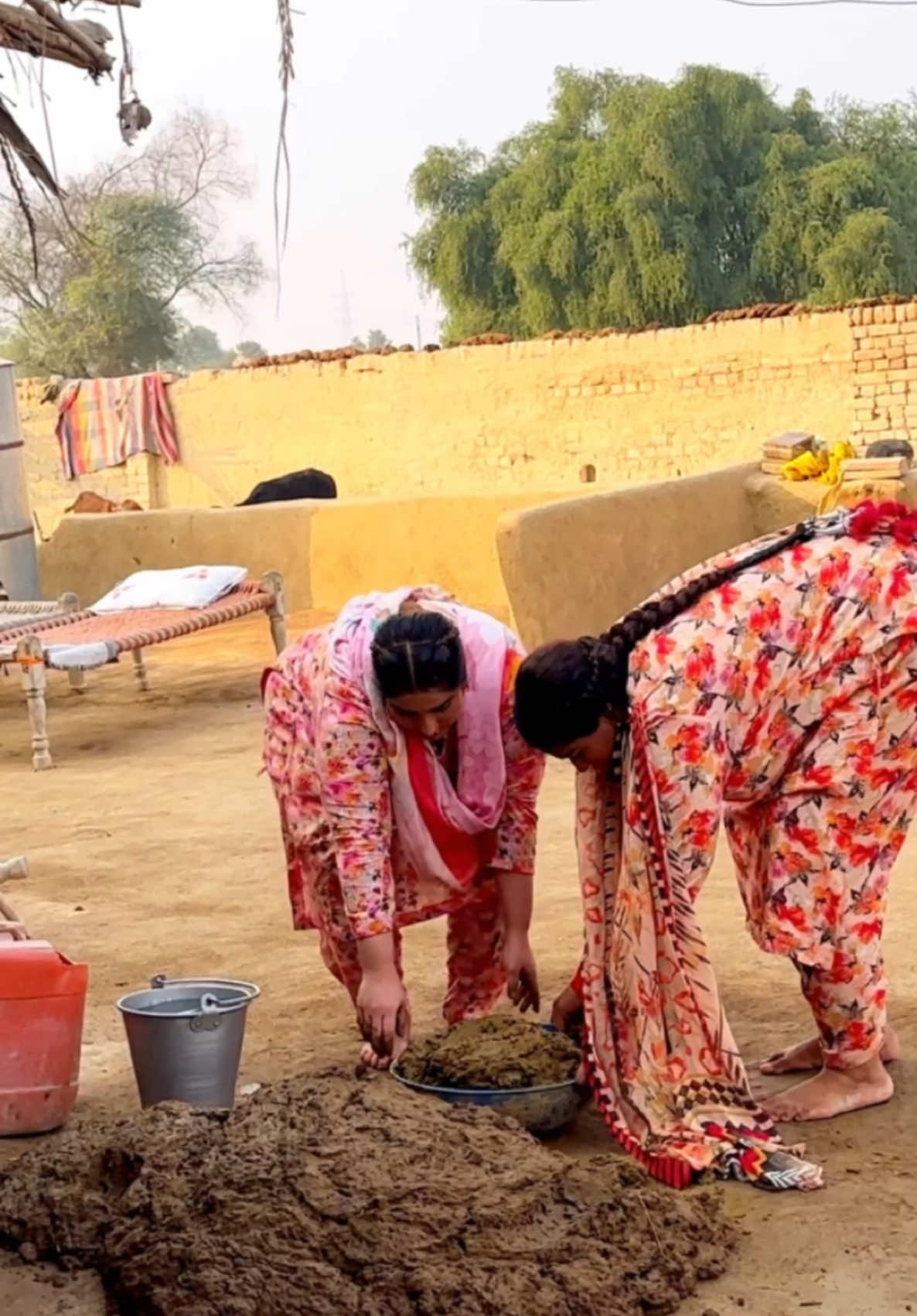 Dill jdon diyee rati jagna v pynda ay 😩🙈❤️ #Aliza #AlizaSehar #PunjabiBulbul #PunjabiBulbulAlizaSehar #village #villagelife #villagelifestyle #foryou #foryoupagе #fypシ゚ #foru