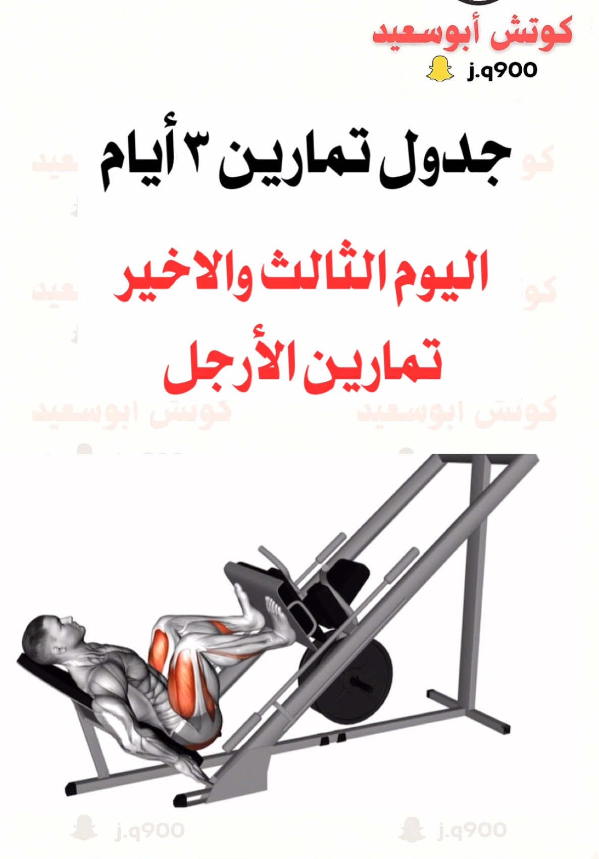 جدول تمارين اليوم الثالث والاخير تمارين الأرجل#كمال_اجسام #اكسبلور #تمارين #workout #Fitness #كوتش_ابوسعيد 