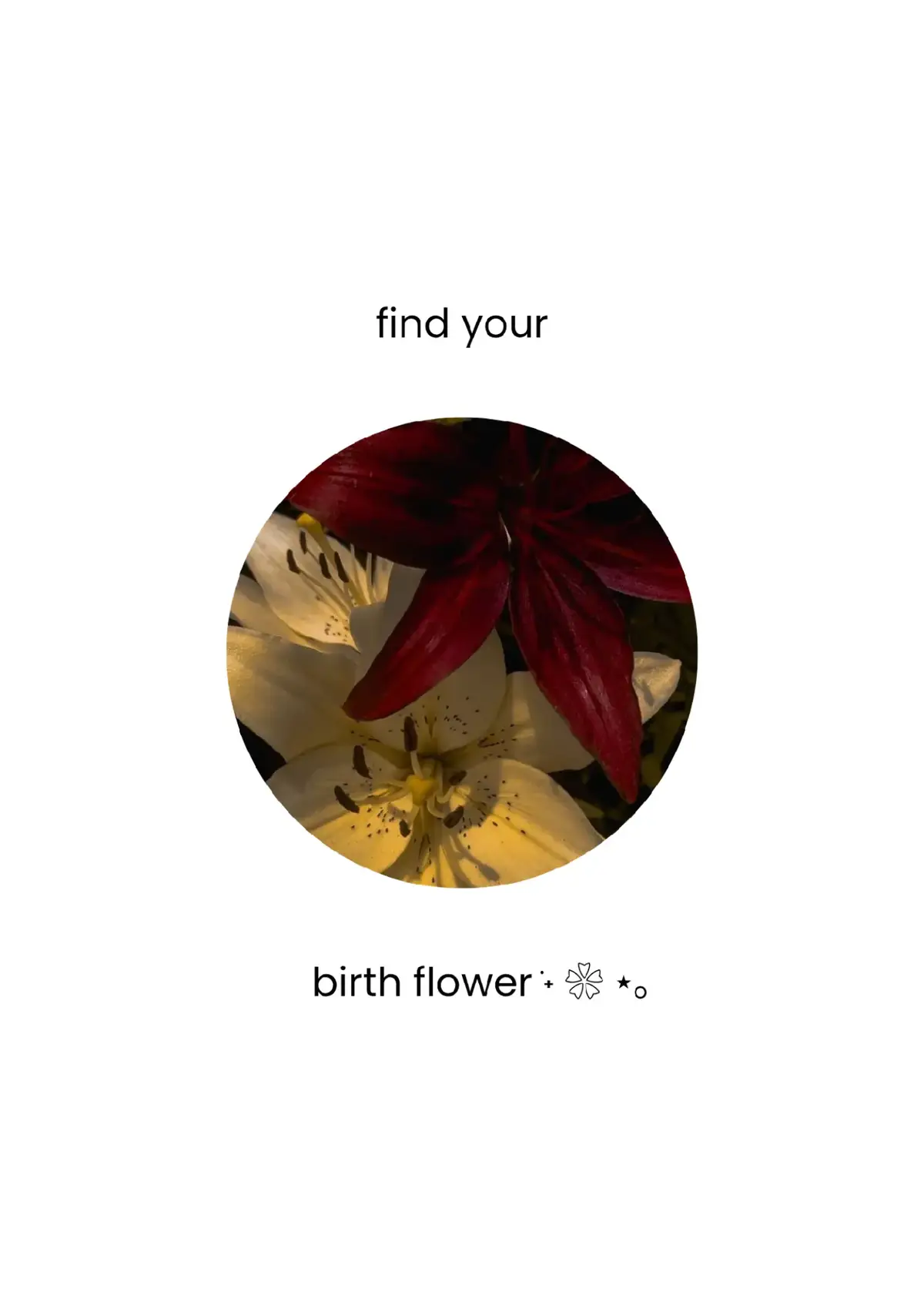 #flower #birth #pinterest #fypage #bismillahfyp #fypp #masukberandafypシ #fyppppppppppppppppppppppp #fypシ゚ #fypdong #4yu #xyzba #4u #tiktokviral #foryourpage 