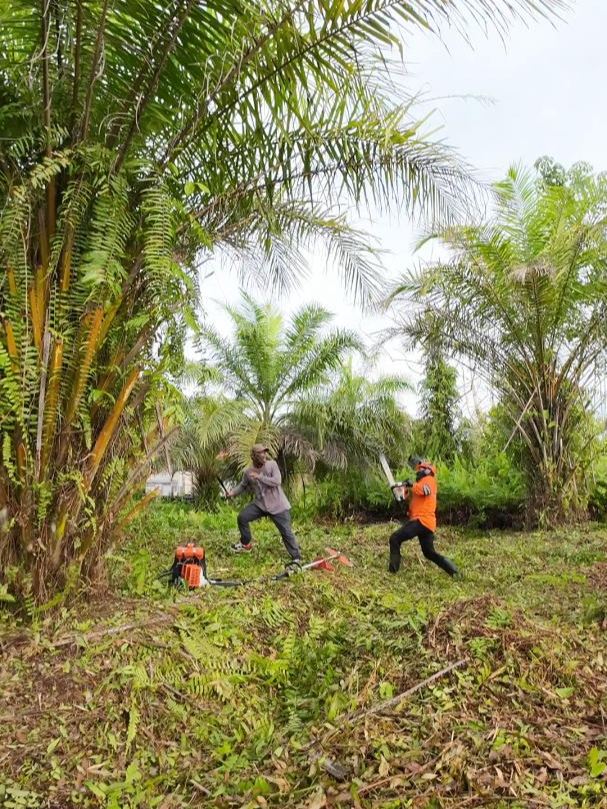 Kamu klo kamu capek, istirahat aja #fyp #foryoupage #fy #viral #meme #comedyvideo#mesinpotongrumput #mesinrumput #kebun #kebunsawit #berkebun #bersihbersihkebun #petani #petanisawit #petanimuda #stihl #brushcutter #lawn #lawncare #lawntok #satisfying #satisfyingvideo