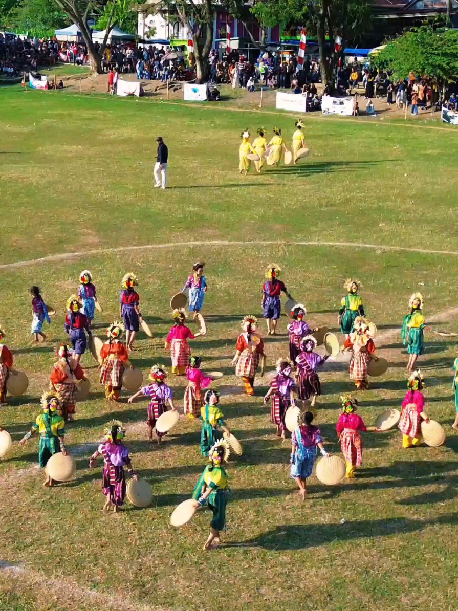 Tari Padendang Makkunrai Desa Lallatang dalam rangka pesta panen #wonderfulindonesia #culture #bugis #sulawesi #fyp #fypシ #mapadendang #tariantradisional #pestapanen #pestarakyat 