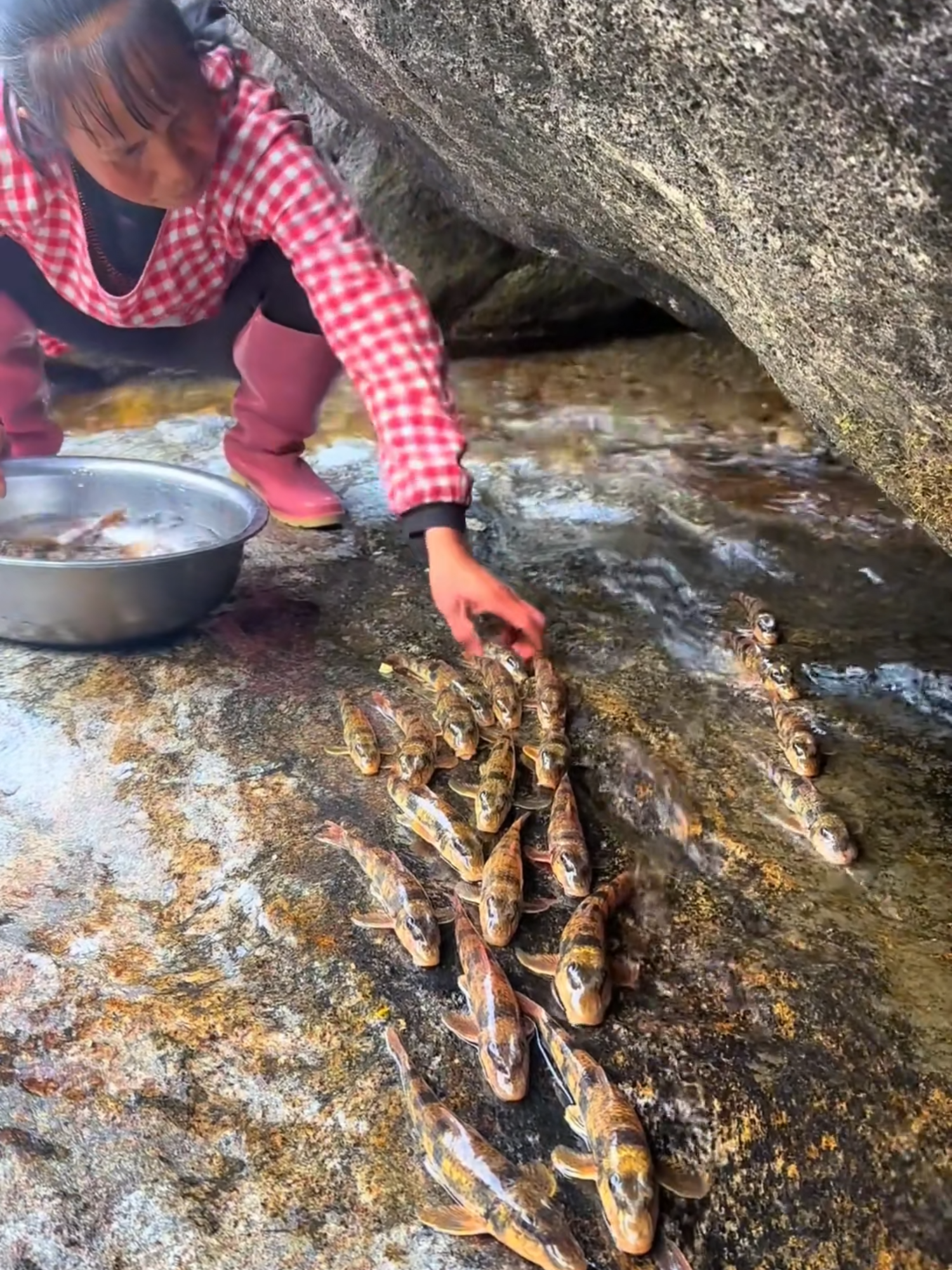 Pick up fish! #fish #farming #nature #amazing