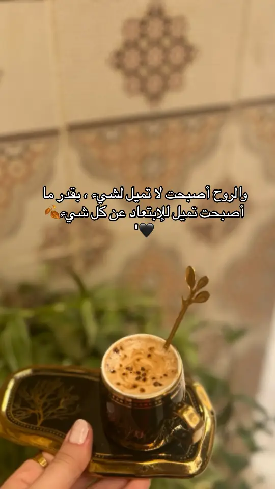 #صباح_الخير #قهوتي #تصويري #pyf #bita #سطيف_العالي_ٱخاالي #صباح_الخير #