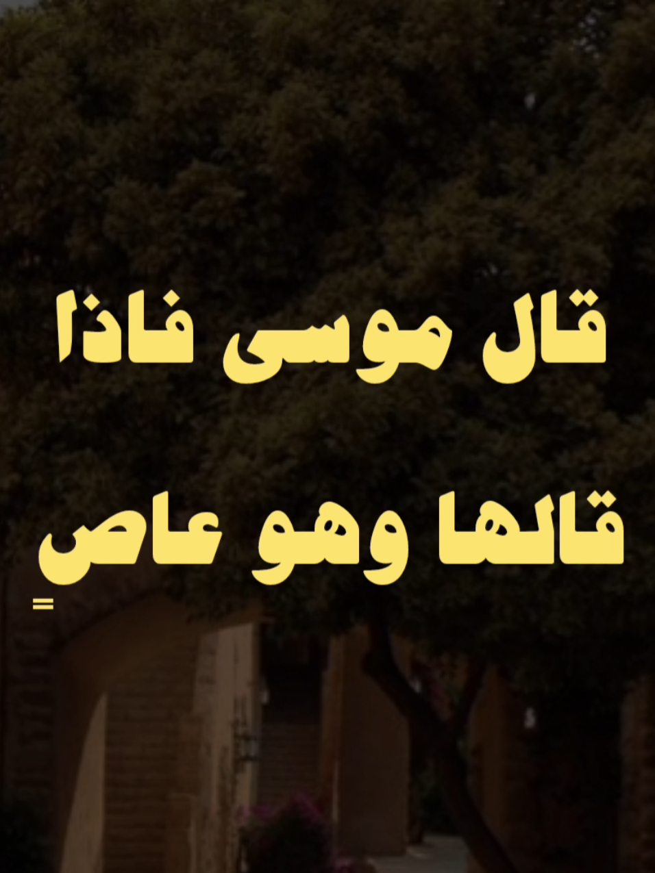 قال موسي لربه.. ❤✨ #صلي_علي_النبي #صلوا_على_رسول_الله #الشيخ_كشك #الشيخ_كشك_رحمه_الله 