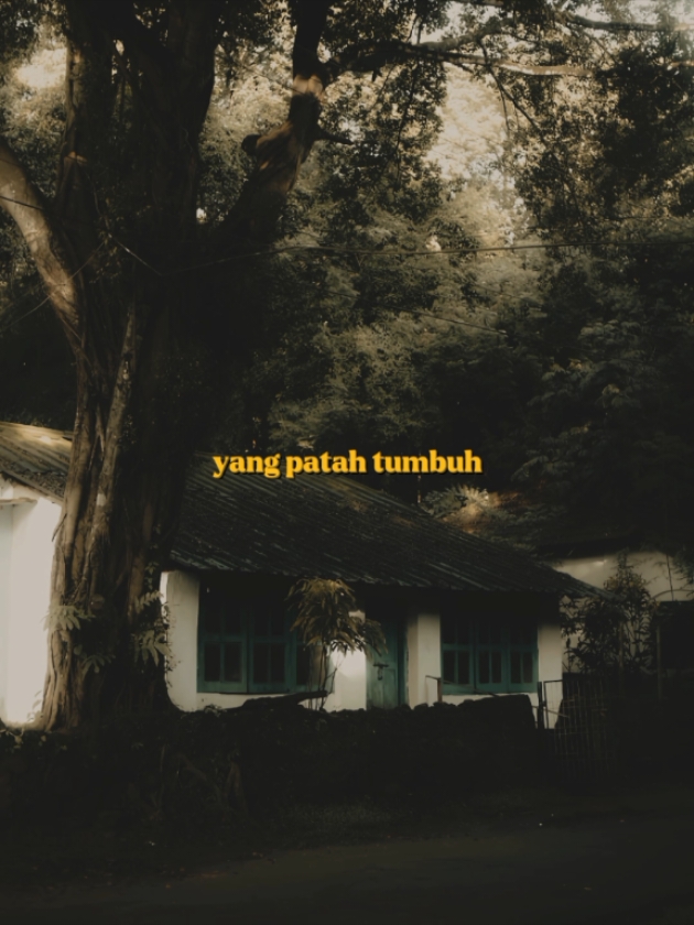yang pernah jatuh, kan berdiri lagi #fyp #foryou #foryoupage #lirik #liriklagu #music #armkmai #templatecapcut #CapCut 