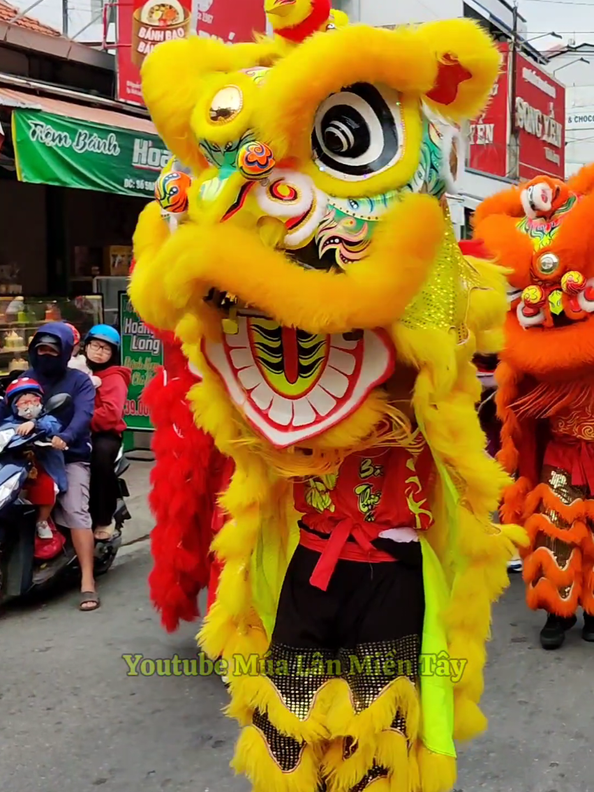 Diễu hành LSR Tp Vĩnh Long  #liondance #mualan #tet2025 #mualansurong #mualandontet #mualantet #舞狮表演 #niemdammebattan 