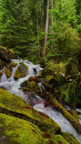Watson Falls, Oregon #Hiking #pnw #Oregon #umpqua #forest #statepark #pnwonderland 
