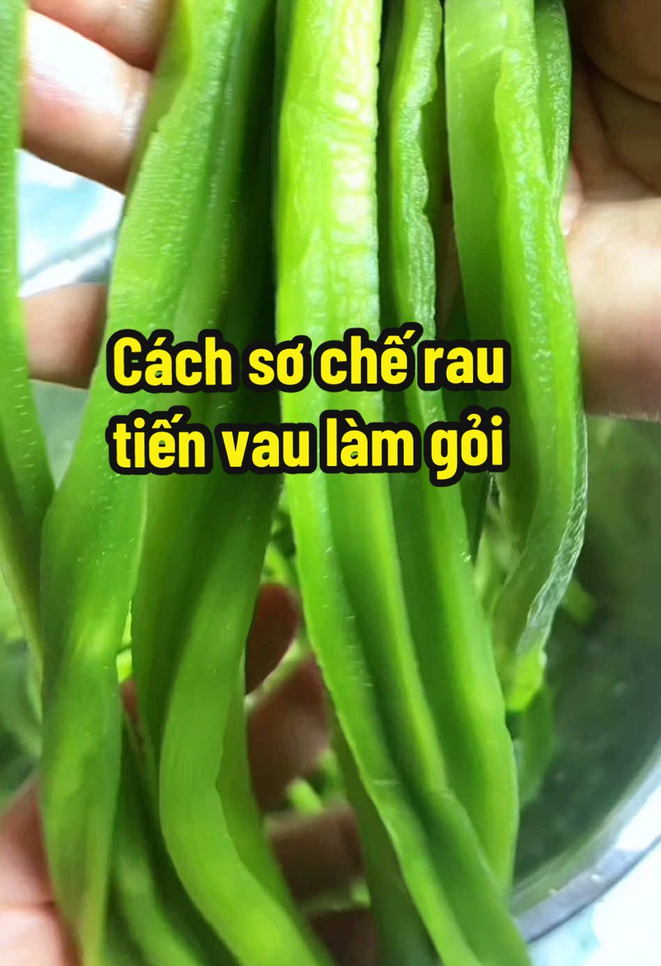 Để Có Món Gỏi Ngon Chống Ngán Cho Ngày Tết.Cách Sơ Chế Rau Tiến Vua Trước Khi Làm Gỏi .Làm Đa Dạng Món Gỏi Giòn Ngon Mời Cả Nhà Nhen .#livehighlights #toktoklive #live #ngocbich976 #amthuc #food #ngocbichbuacomhangngay 