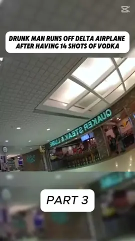 Drunk Man Runs Off Delta Airplane After Having 14 Shots of Vodka #cops #copsoftiktok #police #policeofficer #bodycam #crime