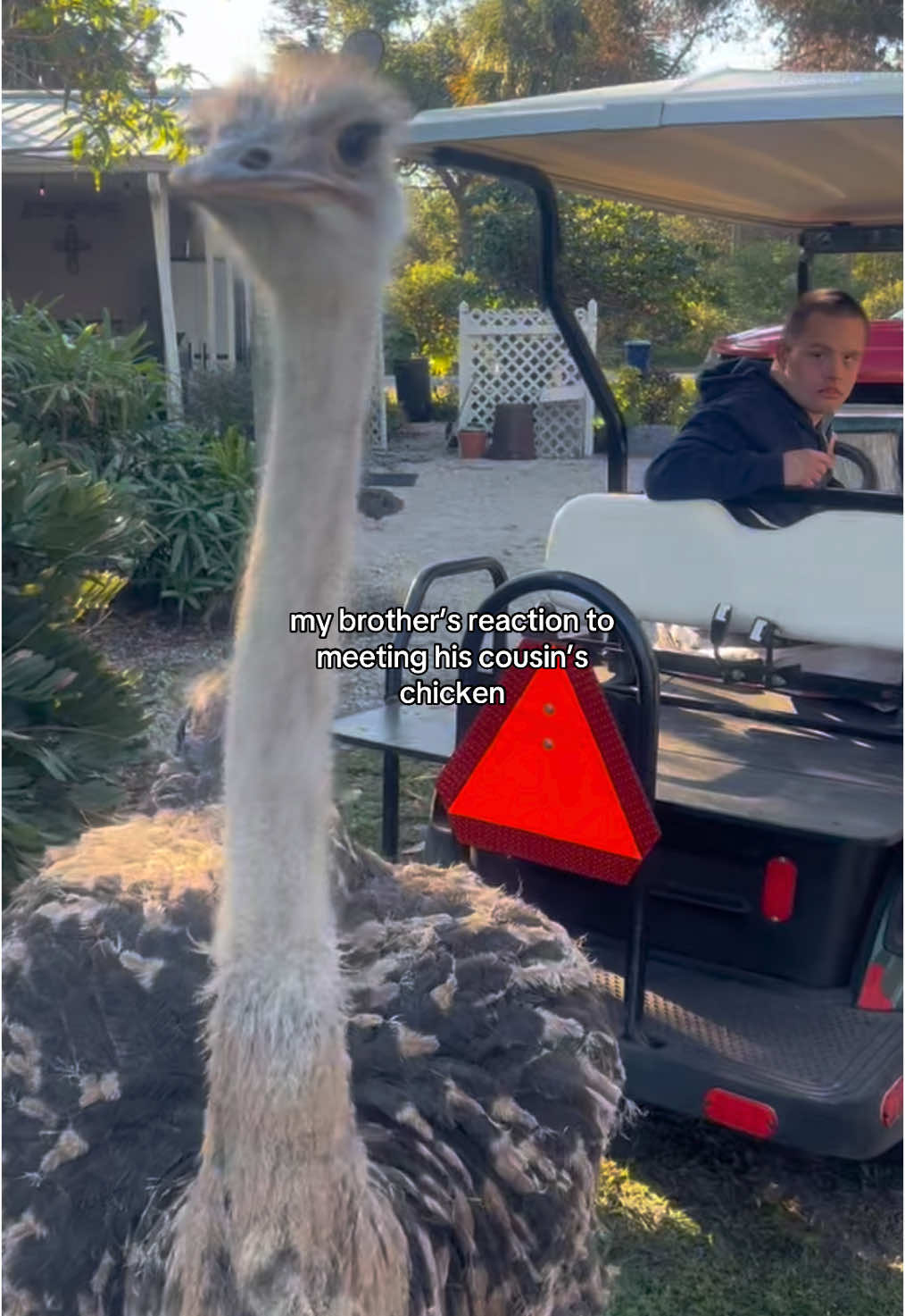 when @Fishingarrett is your cousin but you don’t appreciate animals 👀🙃 #animalsoftiktok #brother #funny #reaction #chickens 