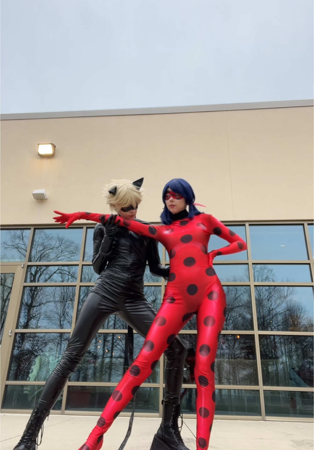 chat noir’s a bit of a troublemaker @Lexi🪿  #miraculousladybug #chatnoir #ladybugandcatnoir #cosplay  #ichibancon #fyp 