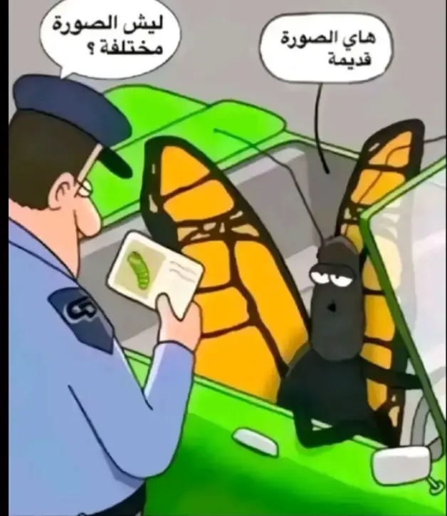 #حبيت 