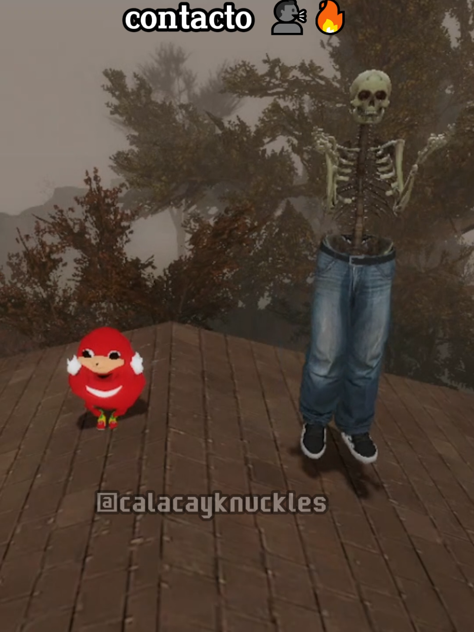 ACTO ACTO PIDE CONTACTO 🗣️🔥 #gmod #juego #juegos #actoactopidecontacto #faraonloveshady #humor #amigos #fyp #musica #letra #marselo #calaca #knuckles #calacayknuckles 