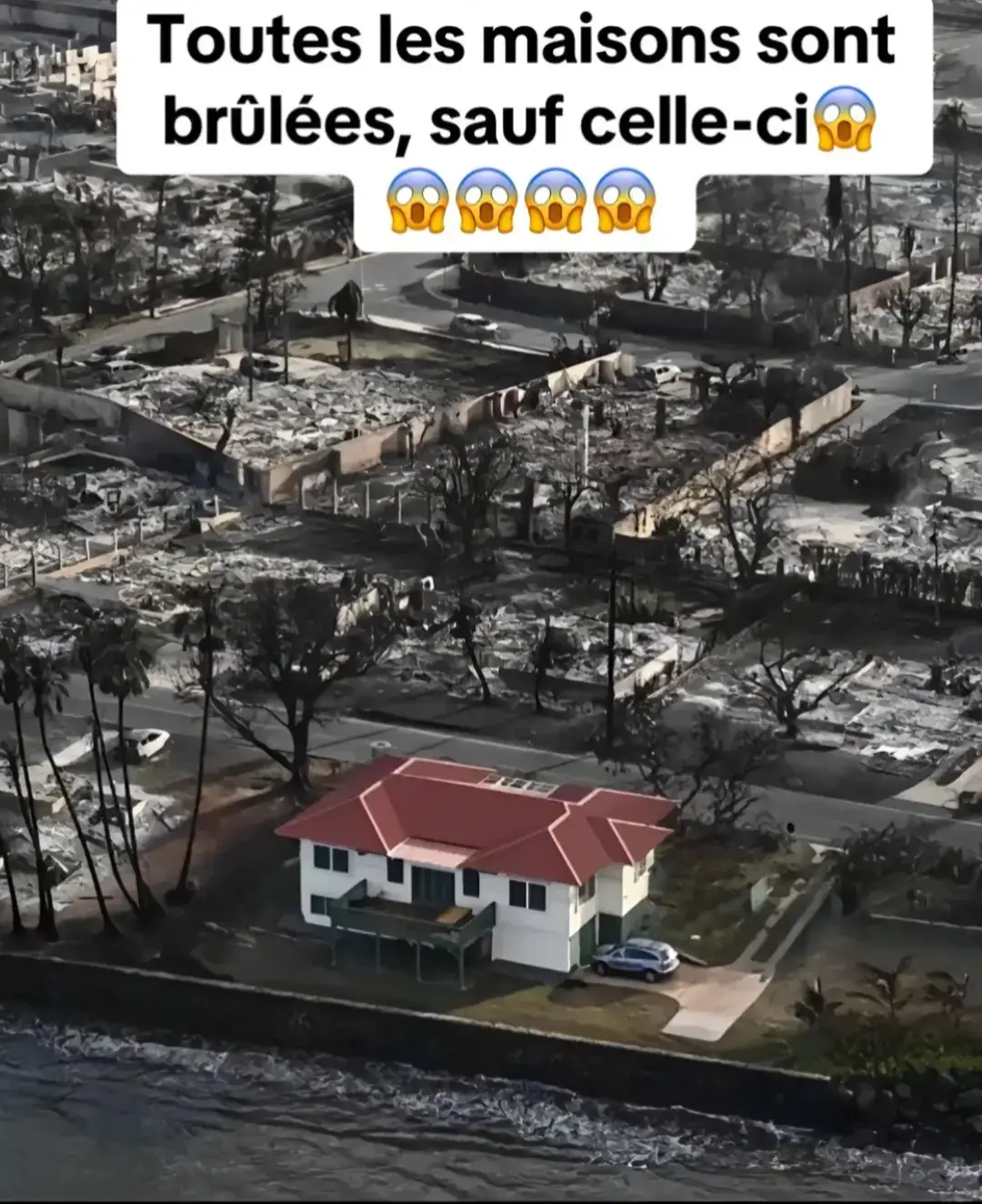 mon dieu tout est brûler sauf cette maison 🏠 🤔#news #newtrend #california #destruction #incendie #wildfire #sunsetfire #catastrophe 